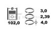 FIAT 2994118 Piston Ring Kit